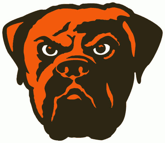 Cleveland Browns 2003-2014 Alternate Logo iron on paper